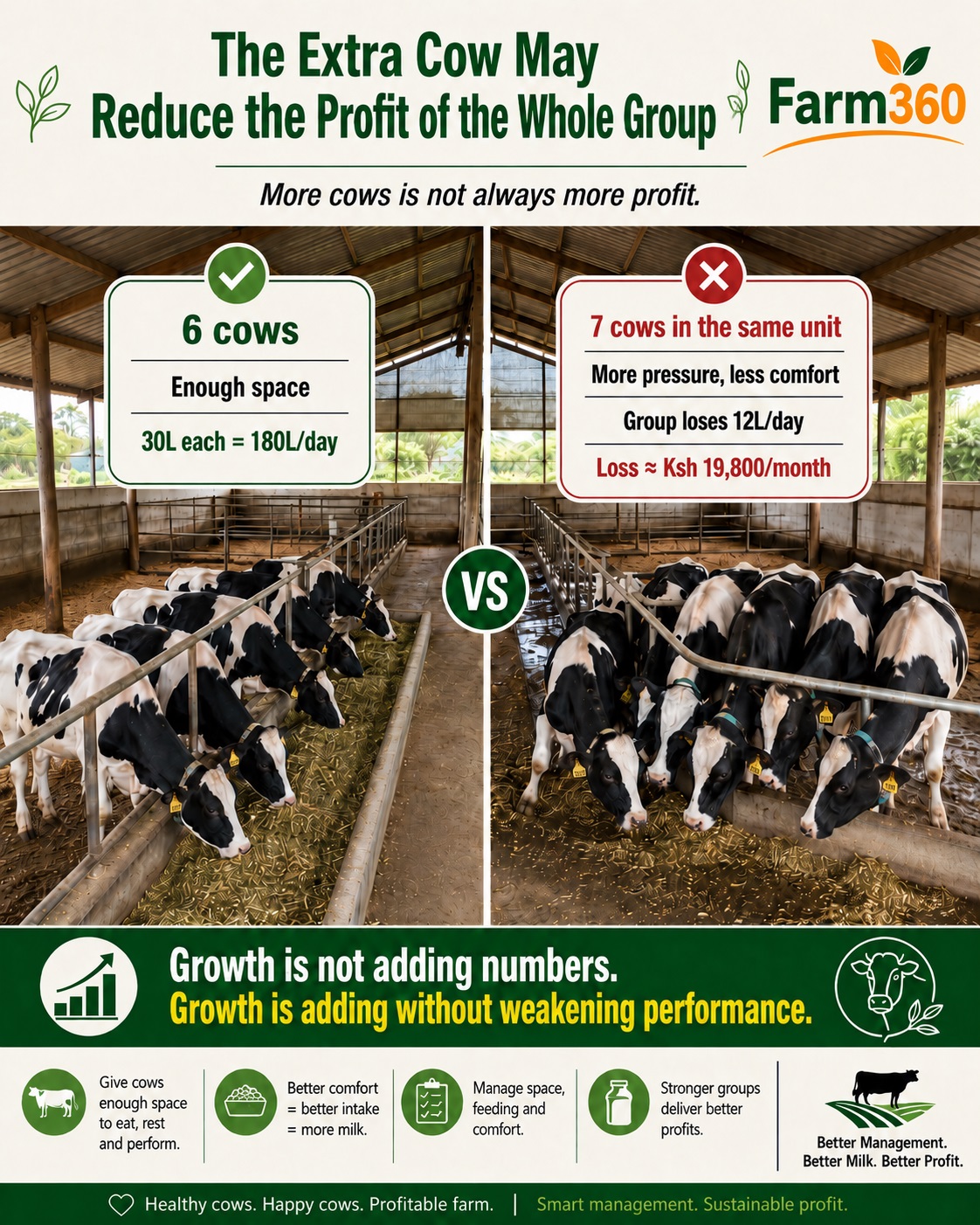 Farm360 dairy space utilization infographic showing how one extra cow can reduce group profit